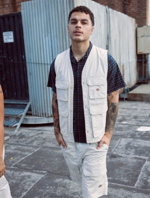 Γιλεκο ανδρικα Dickies Fishersville ασπρα | 622778071