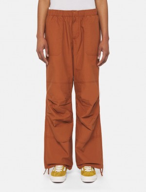 Παντελονι γυναικεια Dickies Fishersville καφε | 641444508