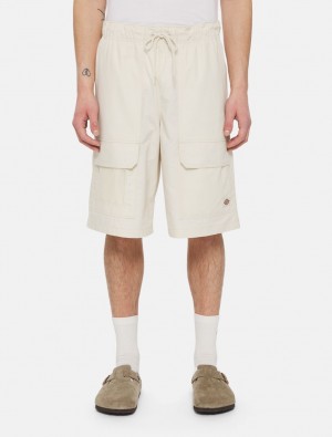 Σορτσ ανδρικα Dickies Fishersville ασπρα | 702682287