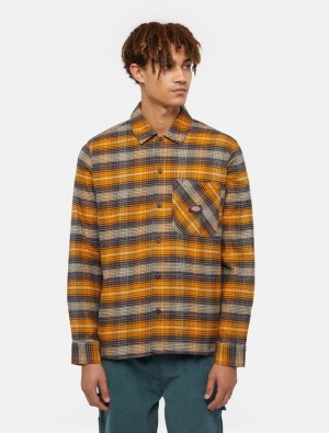 πουκαμισα ανδρικα Dickies Forest Check πορτοκαλι | 891662650