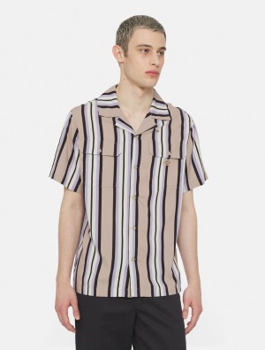 πουκαμισα ανδρικα Dickies Forest Short Sleeve Χακί | 708253130