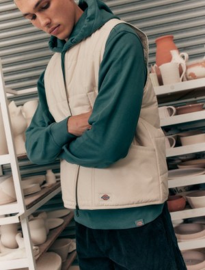 Γιλεκο ανδρικα Dickies Gardiner Liner ασπρα | 27252131
