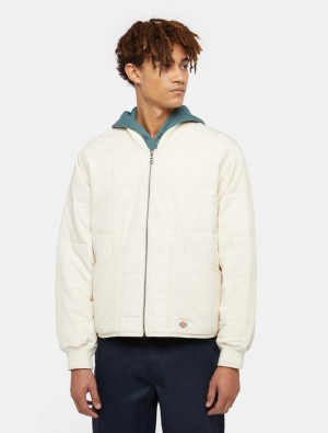 Μπουφαν ανδρικα Dickies Gardiner Liner ασπρα | 285985543