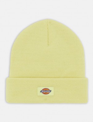 Σκουφακι ανδρικα Dickies Gibsland κίτρινα | 115333503