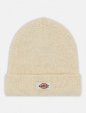 Σκουφακι ανδρικα Dickies Gibsland ασπρα | 255032068