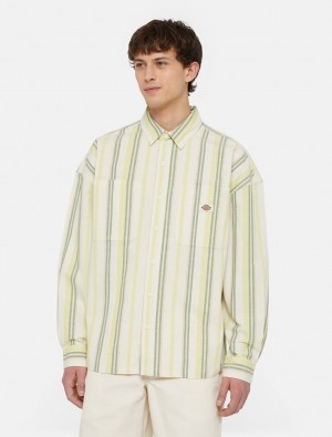 πουκαμισα ανδρικα Dickies Glade Spring Long Sleeve κίτρινα | 463174719