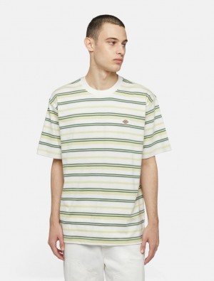 μπλουζακια ανδρικα Dickies Glade Spring Short Sleeve κίτρινα | 125566432
