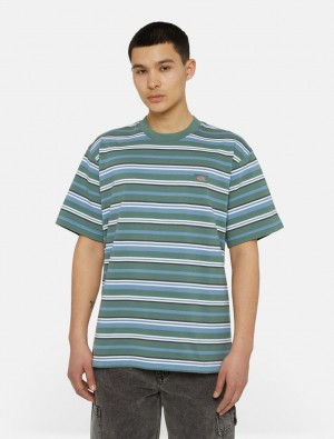 μπλουζακια ανδρικα Dickies Glade Spring Short Sleeve μπλε | 751402522