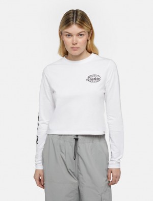 μπλουζακια γυναικεια Dickies Globe Long-Sleeve ασπρα | 23979287