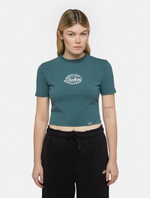 μπλουζακια γυναικεια Dickies Globe πρασινο | 6693188