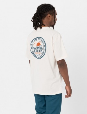μπλουζακια ανδρικα Dickies Greensburg Short Sleeve ασπρα | 401351107