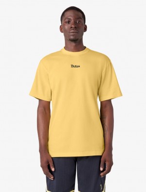 μπλουζακια ανδρικα Dickies Guy Mariano Embroidered Short Sleeve κίτρινα | 535806442