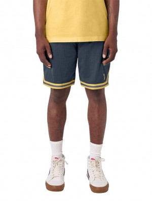 Σορτσ ανδρικα Dickies Guy Mariano Mesh σκουρο μπλε | 92118597
