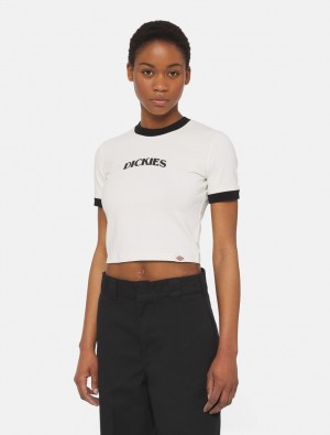 μπλουζακια γυναικεια Dickies Herndon Ringer Short Sleeve ασπρα | 22260747