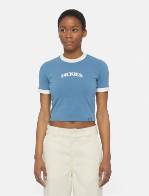 μπλουζακια γυναικεια Dickies Herndon Ringer Short Sleeve μπλε | 555805222