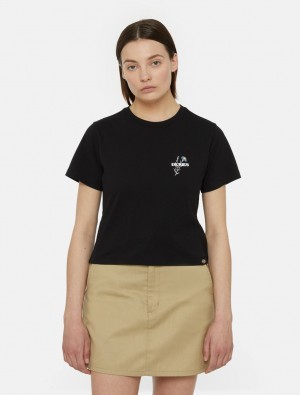 μπλουζακια γυναικεια Dickies Herndon Short Sleeve μαυρα | 378410242