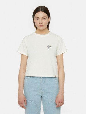 μπλουζακια γυναικεια Dickies Herndon Short Sleeve ασπρα | 880632638