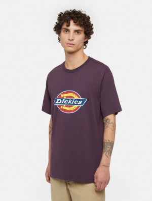 μπλουζακια ανδρικα Dickies Icon Logo Short Sleeve μωβ | 478044122