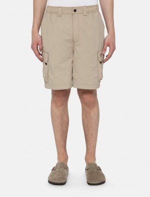 Σορτσ ανδρικα Dickies Jackson Cargo Χακί | 307615650