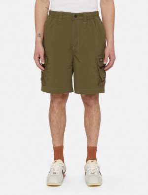 Σορτσ ανδρικα Dickies Jackson Cargo Ελιά | 814009373