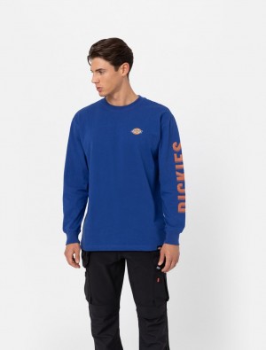 μπλουζακια ανδρικα Dickies Long Sleeve Logo Graphic μπλε | 990872269