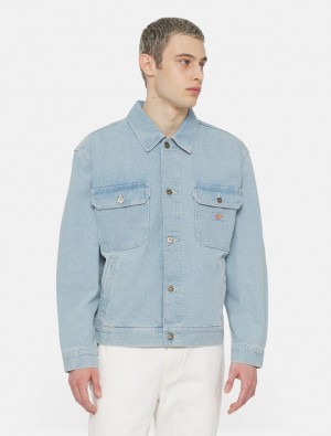 Μπουφαν ανδρικα Dickies Madison μπλε | 745769511