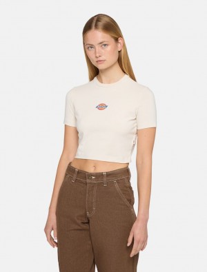 μπλουζακια γυναικεια Dickies Maple Valley Short Sleeve ασπρα | 218014537