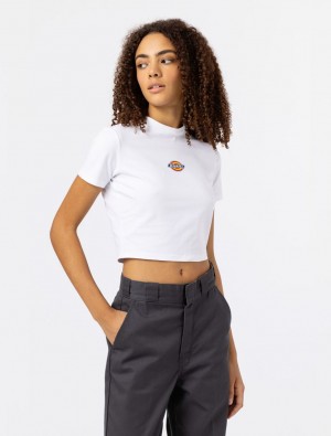 μπλουζακια γυναικεια Dickies Maple Valley Short Sleeve ασπρα | 687647104