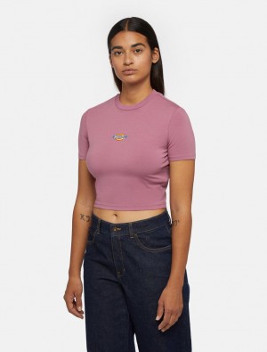 μπλουζακια γυναικεια Dickies Maple Valley Short Sleeve ροζ | 718883833