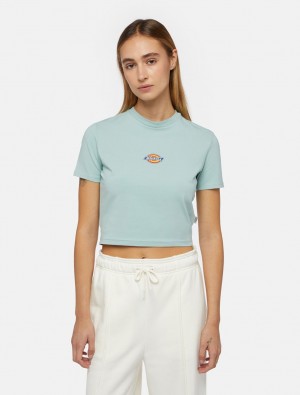 μπλουζακια γυναικεια Dickies Maple Valley Short Sleeve μπλε | 754840721