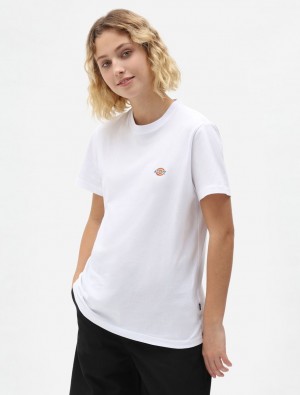 μπλουζακια γυναικεια Dickies Mapleton Short Sleeve ασπρα | 375699699