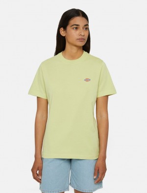 μπλουζακια γυναικεια Dickies Mapleton Short Sleeve κίτρινα | 433359238