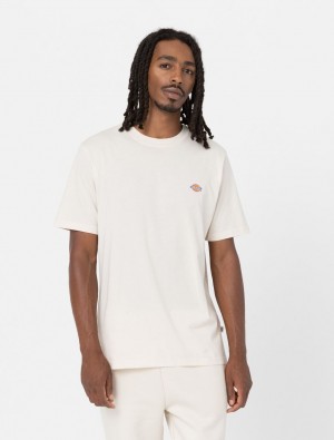μπλουζακια ανδρικα Dickies Mapleton Short Sleeve ασπρα | 682697109