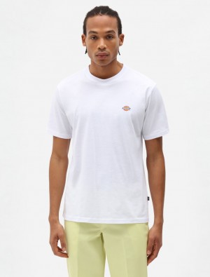 μπλουζακια ανδρικα Dickies Mapleton Short Sleeve ασπρα | 708428022