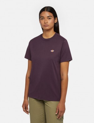 μπλουζακια γυναικεια Dickies Mapleton Short Sleeve μωβ | 750808313