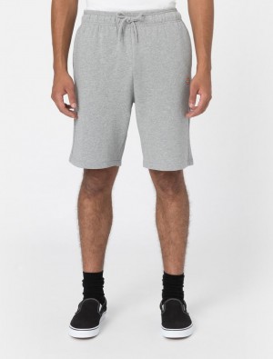 Σορτσ ανδρικα Dickies Mapleton γκρι | 14915012