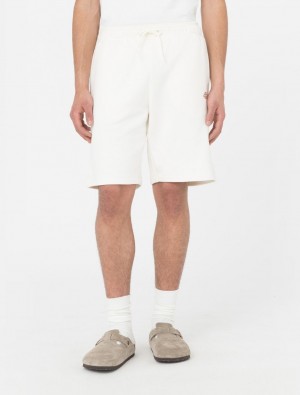 Σορτσ ανδρικα Dickies Mapleton ασπρα | 383813889