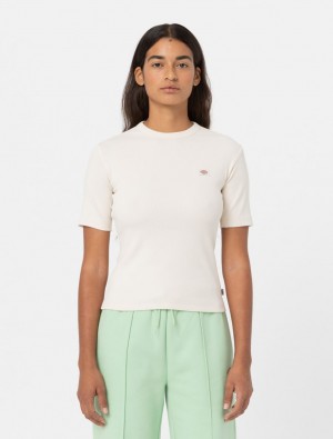 μπλουζακια γυναικεια Dickies Marysville Short Sleeve ασπρα | 766831157