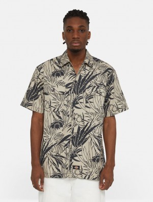 πουκαμισα ανδρικα Dickies Max Meadows Short Sleeve καφε | 557376333