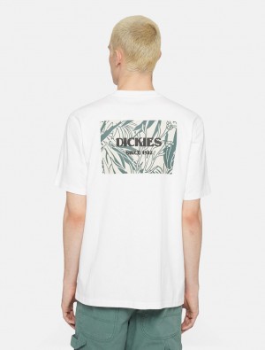 μπλουζακια ανδρικα Dickies Max Meadows Short Sleeve ασπρα | 577685936