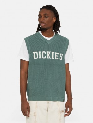 Γιλεκο ανδρικα Dickies Melvern Knitted πρασινο | 733833581