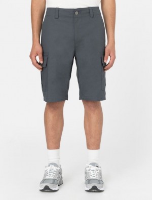 Σορτσ ανδρικα Dickies Millerville μαυρα | 376986998