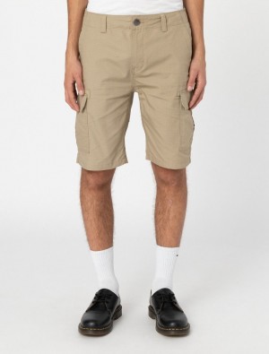 Σορτσ ανδρικα Dickies Millerville Χακί | 837038279