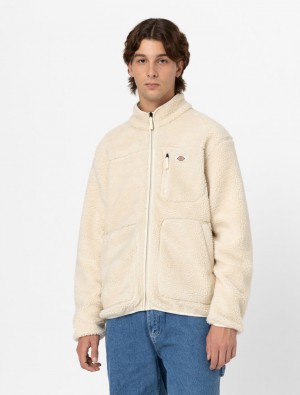 Φούτερ ανδρικα Dickies Mount Hope Fleece ασπρα | 492850642
