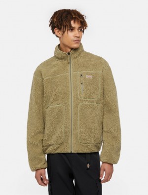 Φούτερ ανδρικα Dickies Mount Hope Fleece Ελιά | 601571234