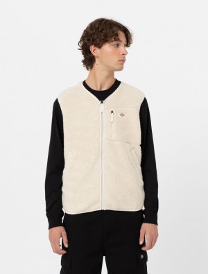 Γιλεκο ανδρικα Dickies Mount Hope ασπρα | 836890192