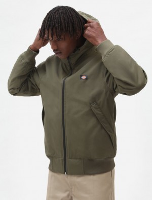 Μπουφαν ανδρικα Dickies New Sarpy Ελιά | 629414595