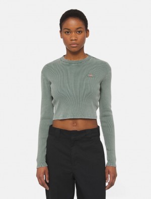 μπλουζακια γυναικεια Dickies Newington Long Sleeve πρασινο | 70467696