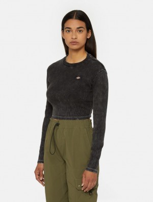 μπλουζακια γυναικεια Dickies Newington Long Sleeve μαυρα | 748944341
