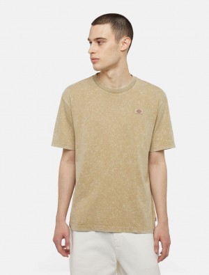 μπλουζακια ανδρικα Dickies Newington Short Sleeve Χακί | 154082576